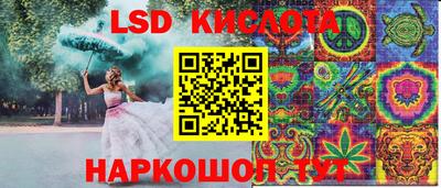 твердый Бийск