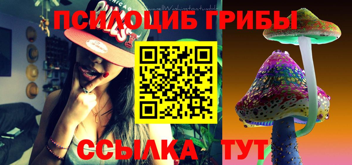 Галлюциногенные грибы ЛСД  Вход с VPN  Вышний Волочёк 