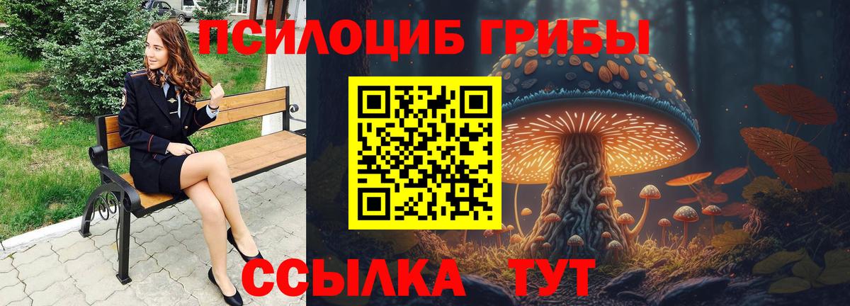 Галлюциногенные грибы Psilocybine cubensis Вышний Волочёк