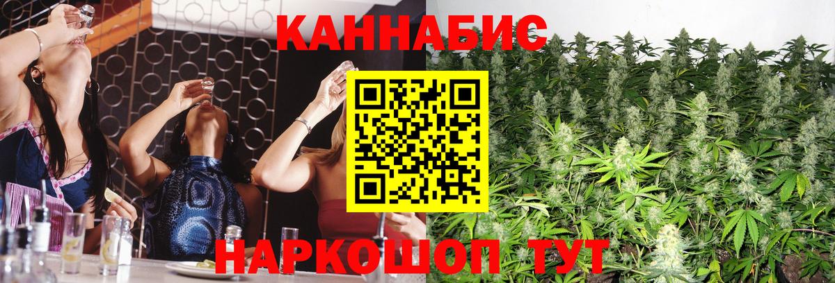 Бошки Шишки Amnesia  Бошки марихуана Amnesia  Бошки марихуана конопля  Вход с VPN  Вышний Волочёк 